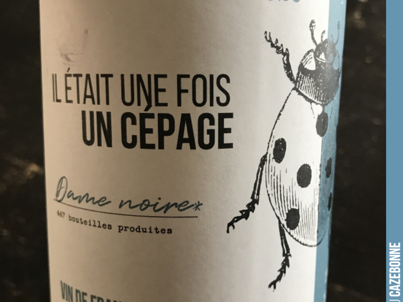Among our new releases, this cuvée comes from Jurançon noir.
We were forbidden to include the official grape variety name on the label, to avoid any confusion with Jurançon (as if...
