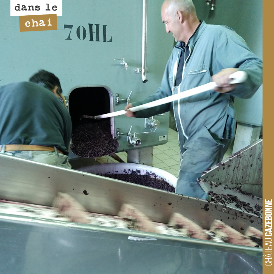 We are devatting the first Merlots and then pressing the marc in our small 5-hectolitre press.