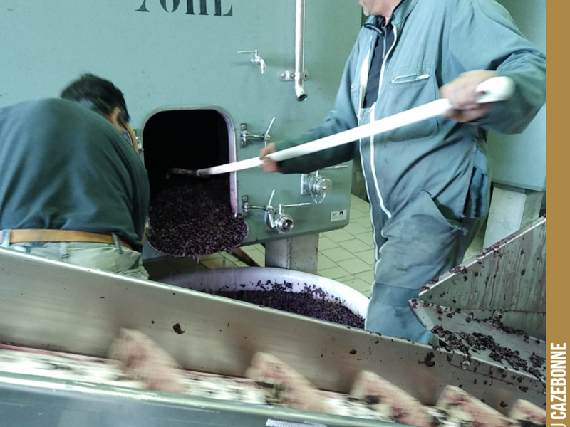 We are devatting the first Merlots and then pressing the marc in our small 5-hectolitre press.