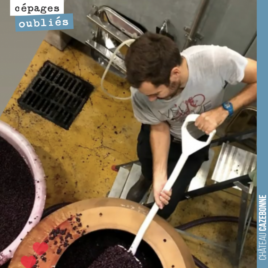 Clément is devatting the Bouchalès, which has now finished fermentation.
7.5 hl of a little marvel that will be used in the blend for the cuvée Comme en 1900.
Now, time for ageing!