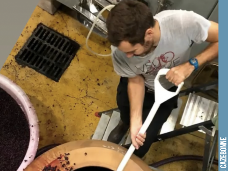 Clément is devatting the Bouchalès, which has now finished fermentation.
7.5 hl of a little marvel that will be used in the blend for the cuvée Comme en 1900.
Now, time for ageing!