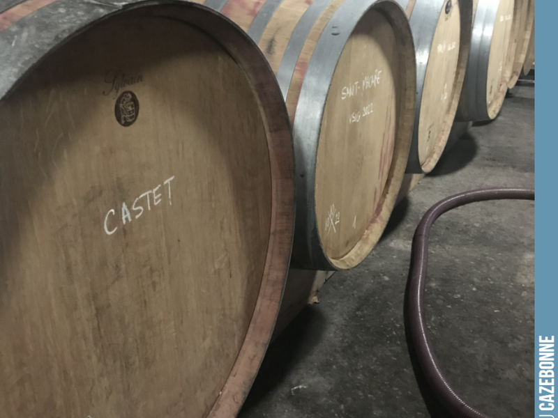 Ageing now begins for the forgotten grape varieties. Mancin, Castets, Saint-Macaire and other Bouchalès are heading into their respective barrels and amphorae for 12 to 18 months of ageing. We will...