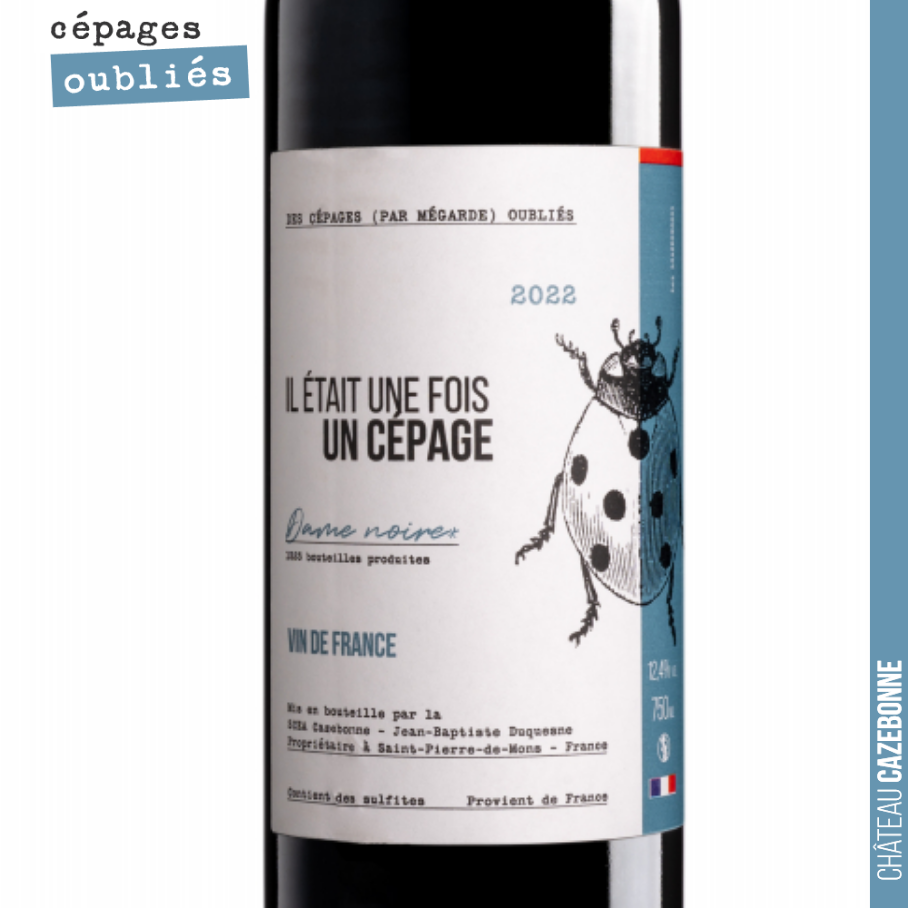 Release of our cuvée made from Jurançon noir.
A lovely, fruit-forward wine with plenty of substance.
Only 1,300 bottles available. Not to be missed.
Jean-Baptiste