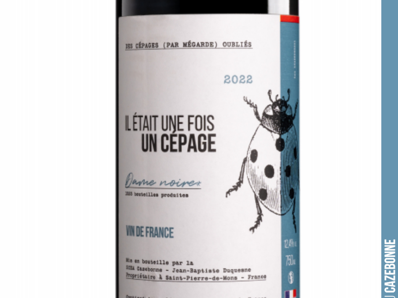 Release of our cuvée made from Jurançon noir.
A lovely, fruit-forward wine with plenty of substance.
Only 1,300 bottles available. Not to be missed.
Jean-Baptiste