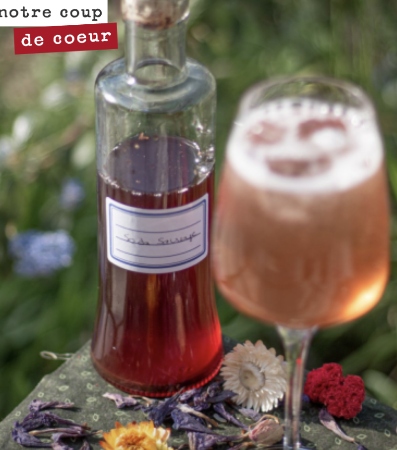 Le petnat sauvage, vous connaissez ?
C’est un cocktail créé par mon frère Chef Damien.

Il le réalise avec notre Petnat Gaz’bonne avec un sirop de soda sauvage, à base de plantes cueillies en Auver...