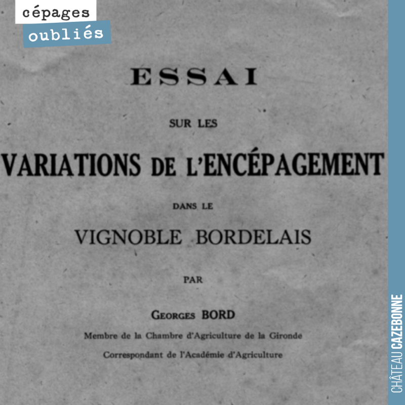 This document is a cornerstone in understanding the reasons that led to the choice of grape varieties known in Bordeaux today in the context of the creation of the first AOCs in 1935.
The author draw...