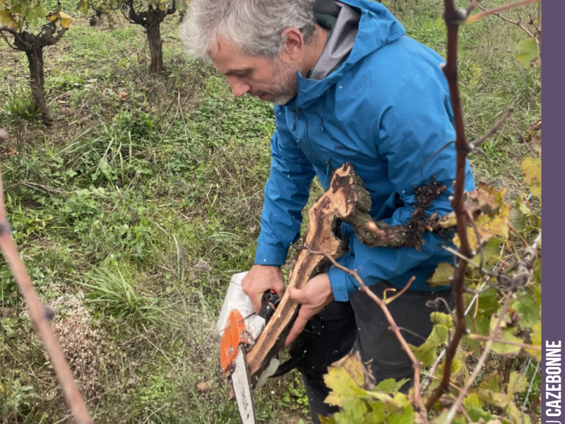 Two days discussing pruning with Marceau Bourdarias did a world of good.
Everyone thinks they know how to prune, but in reality we know very little. What is fascinating about Marceau,...