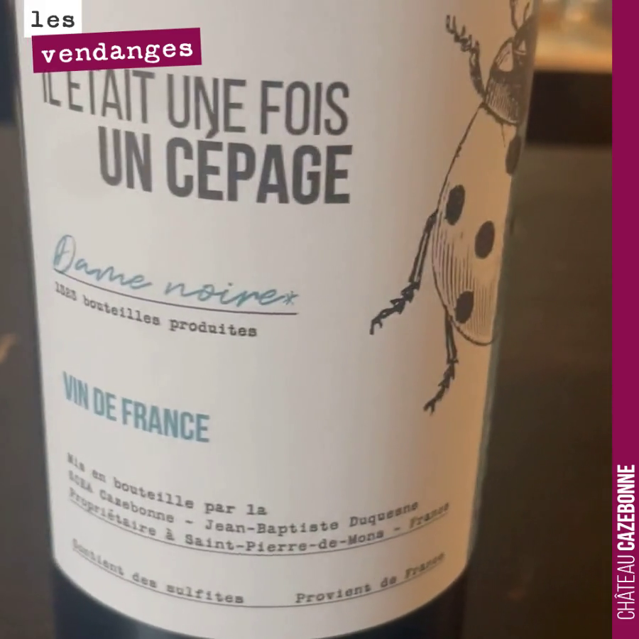Do you know Jurançon noir?

An indigenous grape variety from the Garonne valley, once widespread in the vineyards of the Gironde.