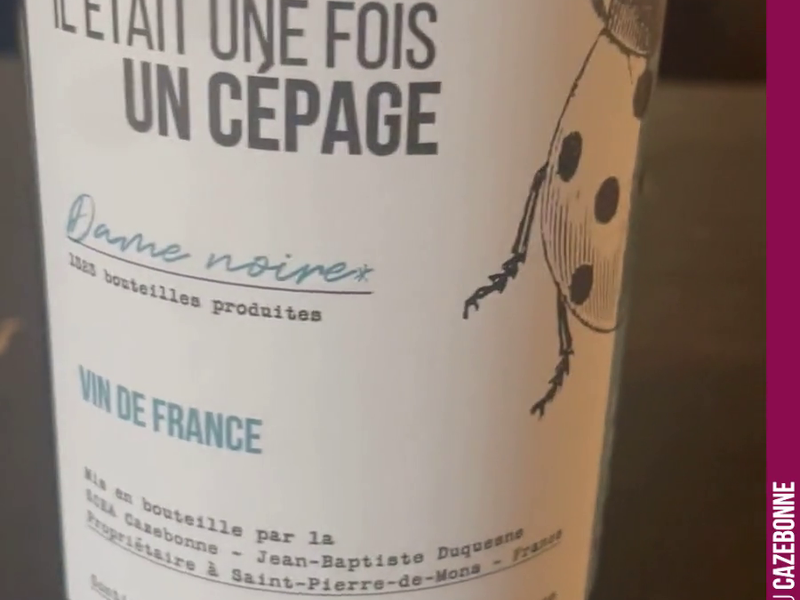 Do you know Jurançon noir?
An indigenous grape variety from the Garonne valley, once widespread in the vineyards of the Gironde.