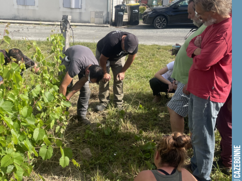 Solidarity among @bordeauxpirate is sacred!
Around a hundred of us gathered on 8 June to learn the art of vine grafting. Moving from theory to practice...