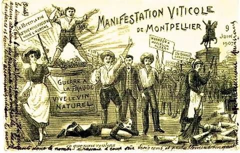 Les émeutes de 1907 à l'origine des AOC