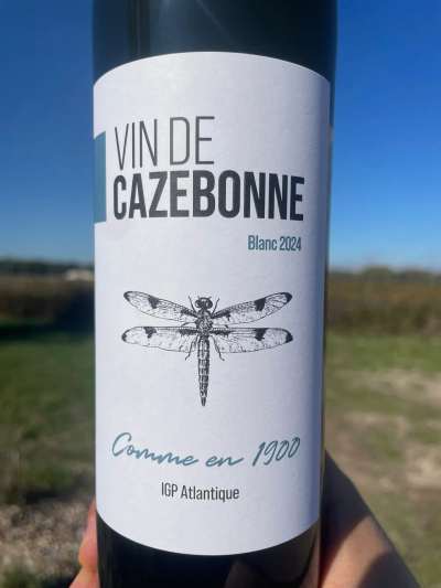 Comme en 1900 blanc 2024