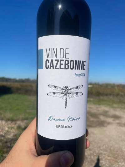 6 × La Dame Noire 2024, IGP Atlantique