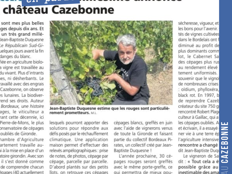 Sympathique article dans le républicain sur le millésime 2026 et présentation de notre conservatoire des cépages d’autrefois qui disposera des l’année prochaine de plus de 70 cépages historiques.
