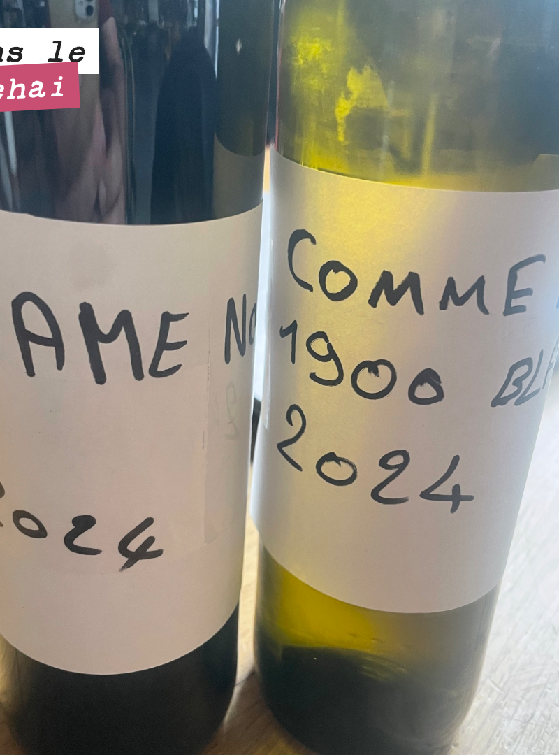 Dégustation du nouveau millésime.