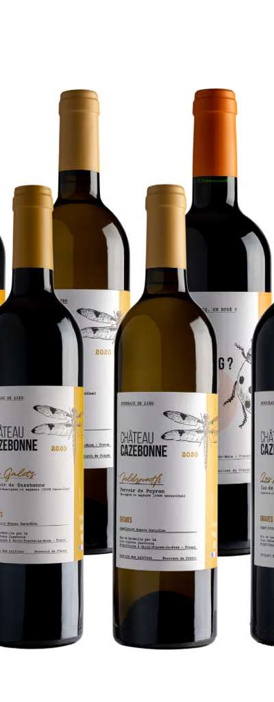 Caisse découverte 12 bouteilles