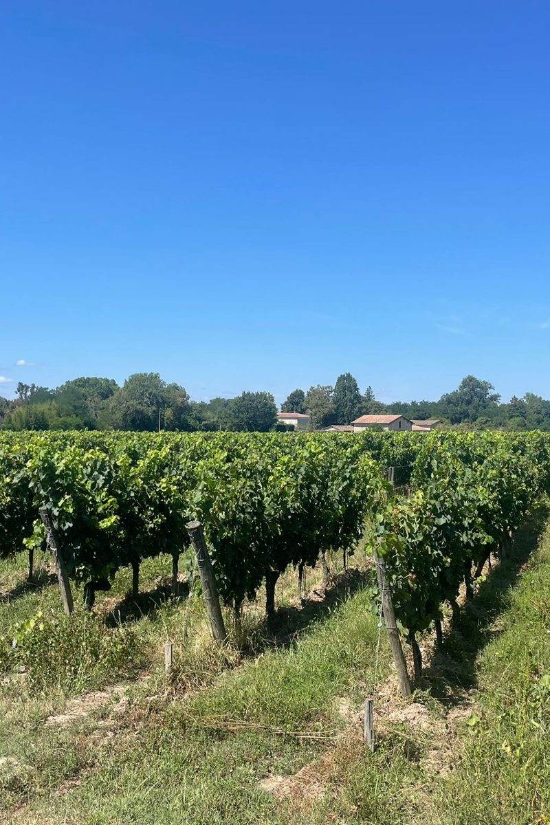 Parcelle Peyron