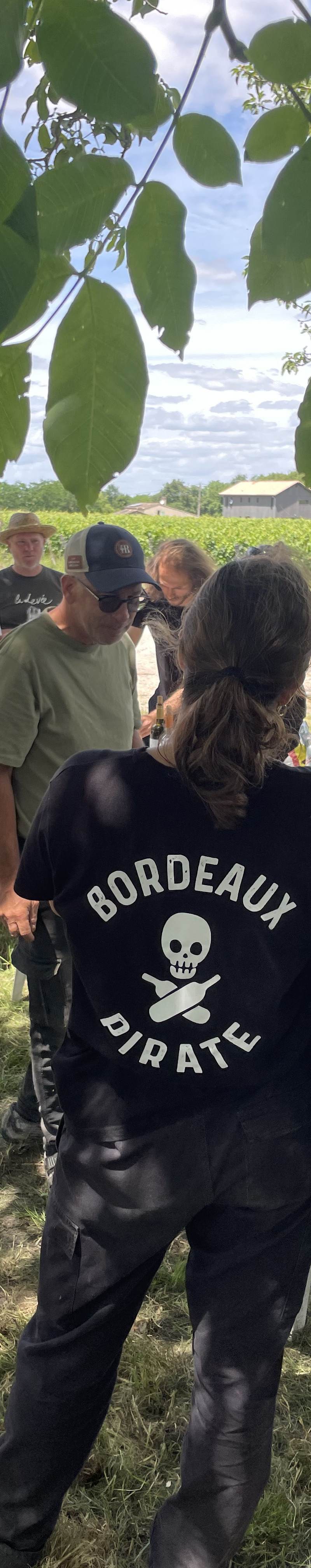 Bordeaux Pirate — cépages du domaine