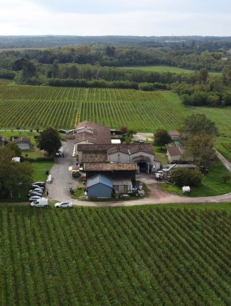 Aerial view of Château Cazebonne and its vines