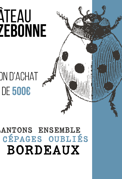 €500 Support Card