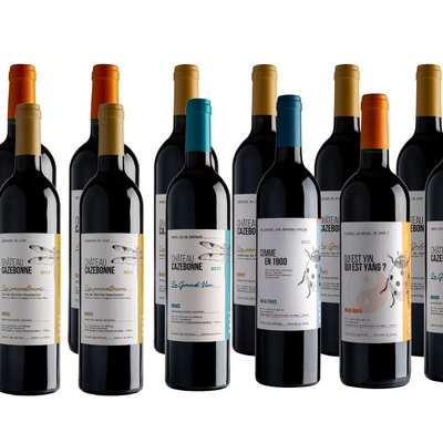 Case of 12 organic red wines - Graves and Bordeaux Cazebonne