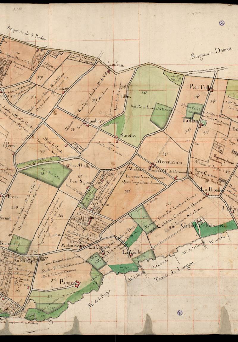 18th-century survey map of the Saint-Pey terroir, mentioning Grand Cazebonne, Peyron and Darche