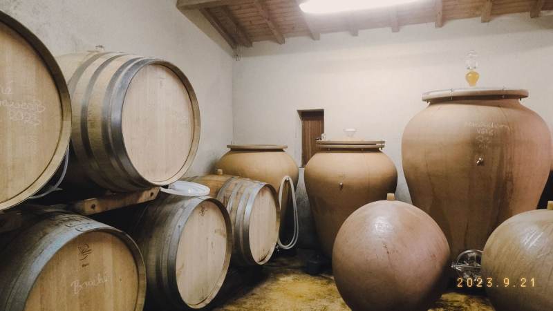 Chai des blancs (4)