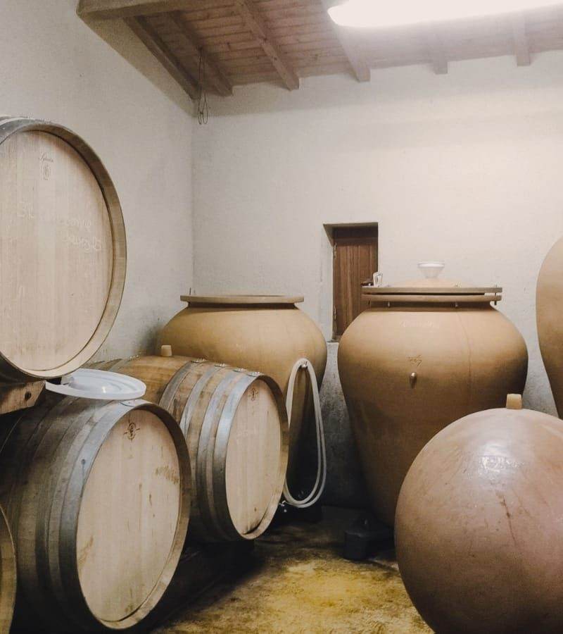 Chai des blancs (4)