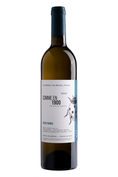 Comme en 1900 blanc 2025 - IGP Atlantique - En primeur