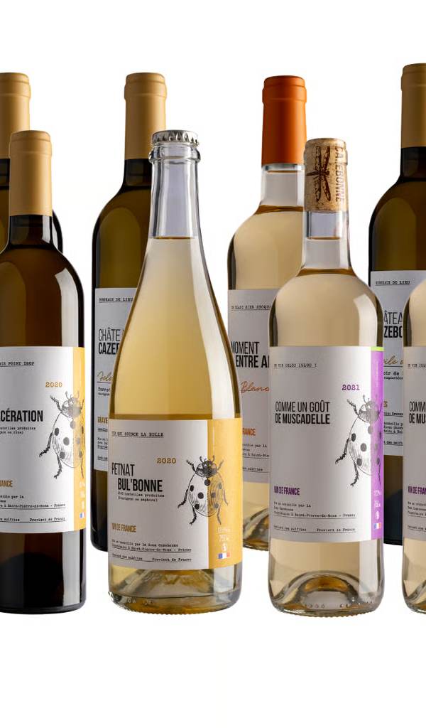 Case of 12 Organic White Wines - Cazebonne Single-Plot Selection