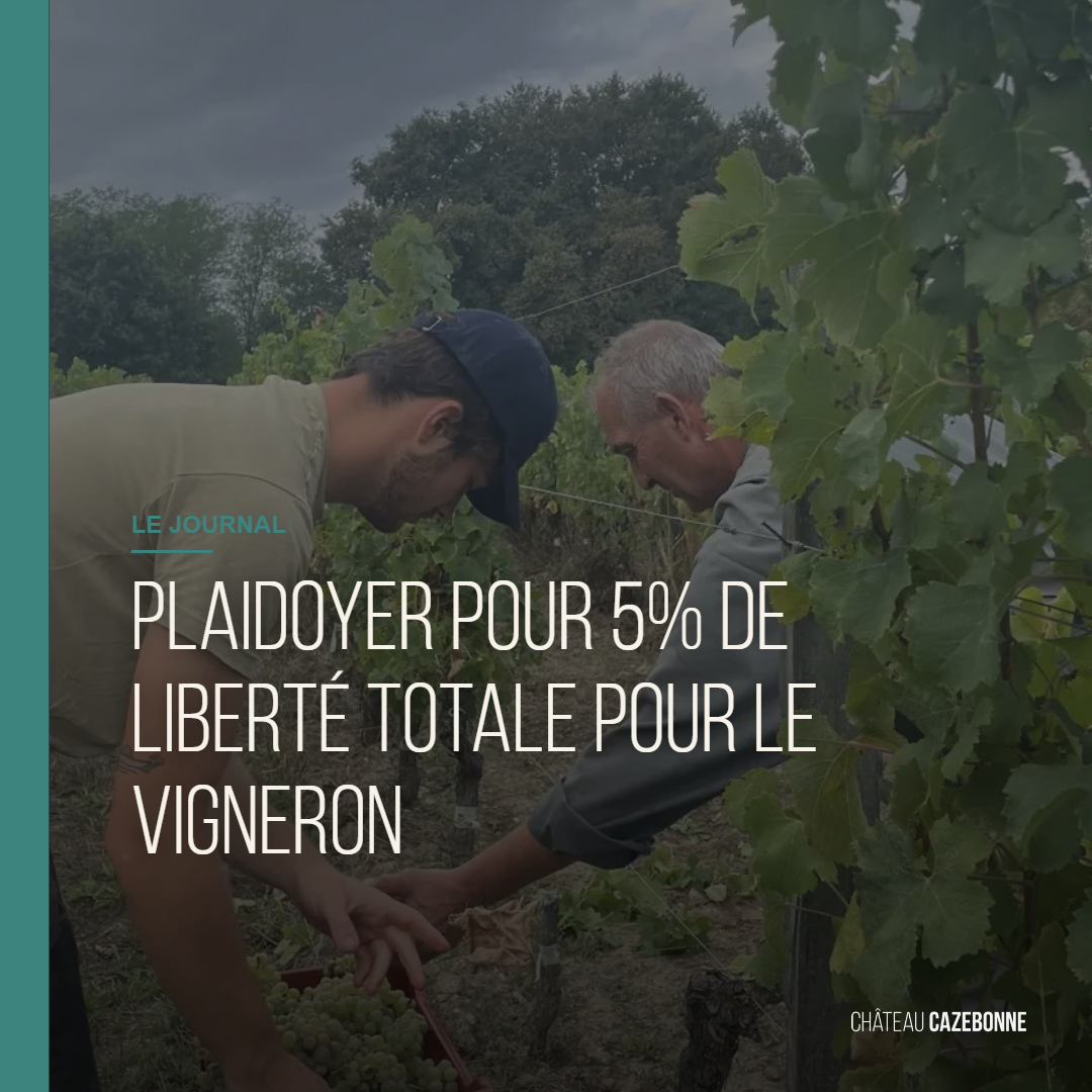 A Plea for 5% Total Freedom for Winemakers