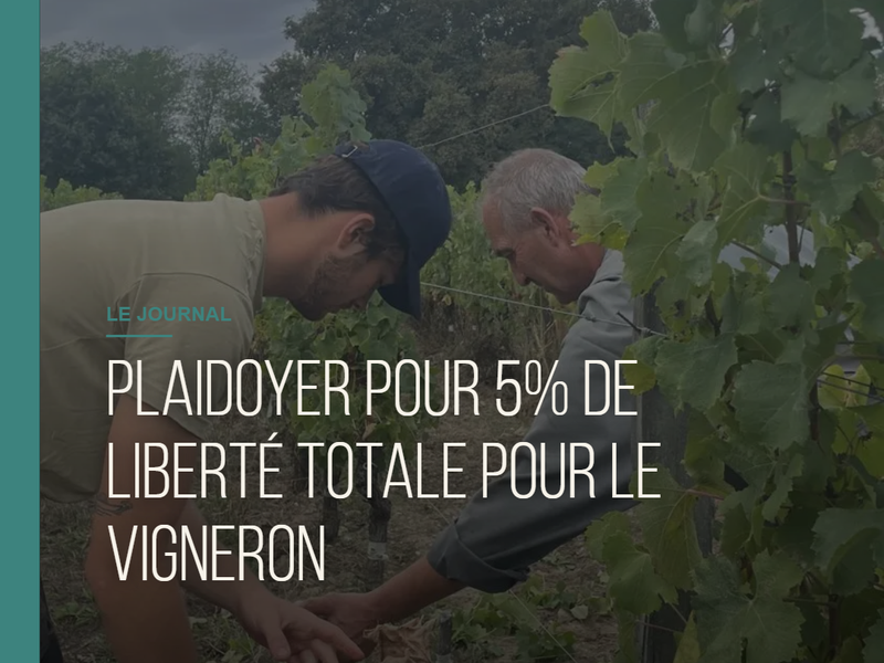A Plea for 5% Total Freedom for Winemakers