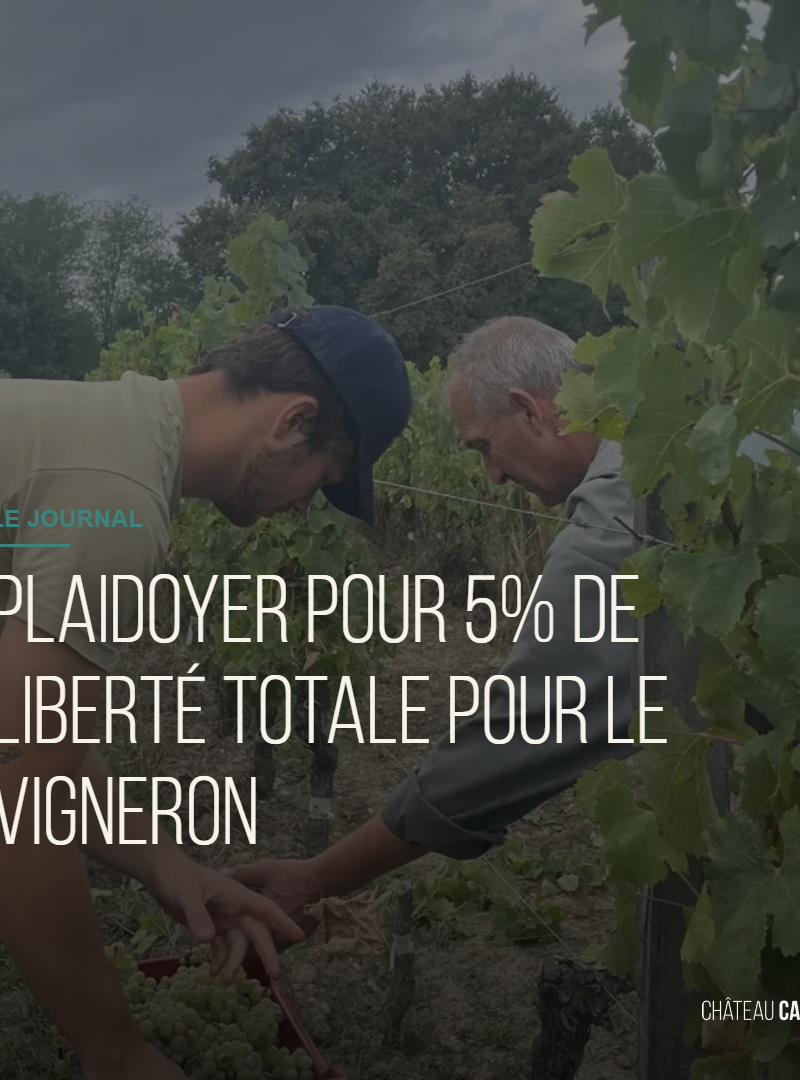 Plaidoyer pour 5% de liberté totale pour le vigneron