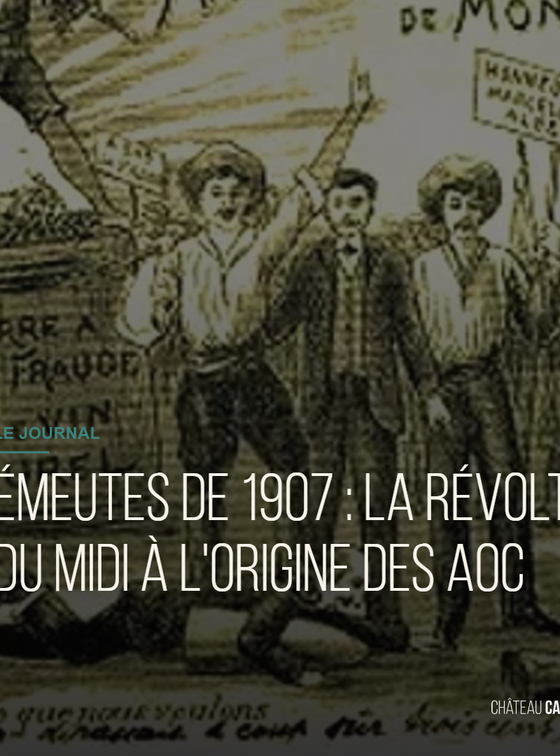 Les émeutes de 1907 à l'origine des AOC