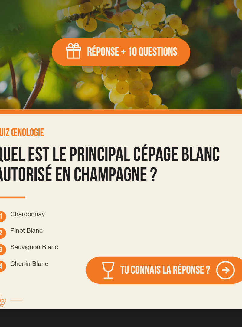 Saurez-vous répondre ? 🍷