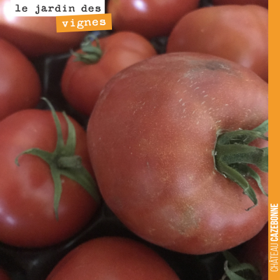 De bonnes tomates pleine terre, issues du jardin potager de Mounissens (le domaine de David le di...
