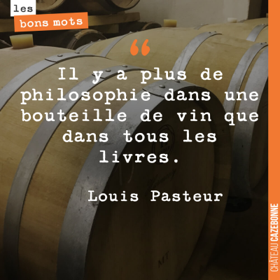 Il y a plus de philosophie dans une bouteille de vin que dans tous les livres.